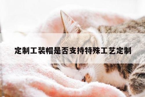 b体育官网_定制工装帽是否支持特殊工艺定制