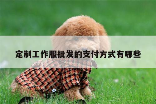 定制工作服批发的支付方式有哪些【Bsport体育在线官网】