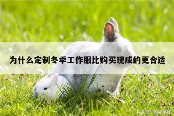 为什么定制冬季工作服比购买现成的更合适-b体育官网