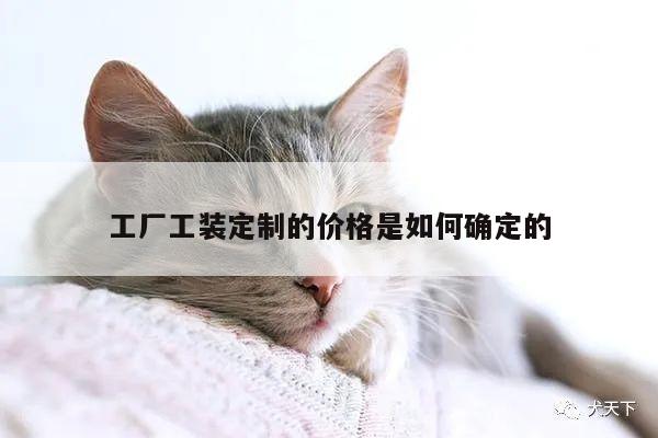 工厂工装定制的价格是如何确定的-bsport官网入口
