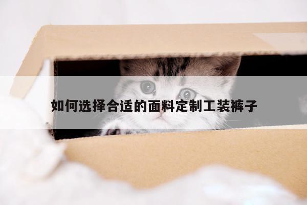 如何选择合适的面料定制工装裤子-Bsport体育在线官网