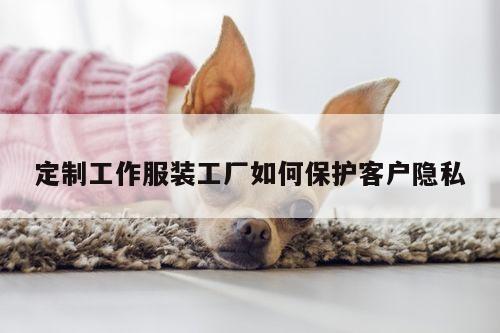 b体育官网:定制工作服装工厂如何保护客户隐私