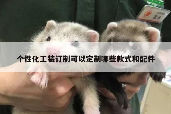 个性化工装订制可以定制哪些款式和配件:Bsports必一体育