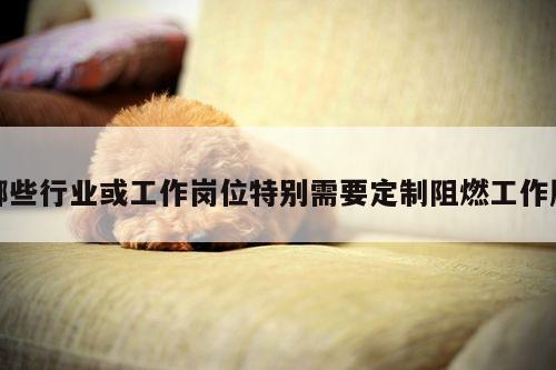 哪些行业或工作岗位特别需要定制阻燃工作服_bsport官网入口