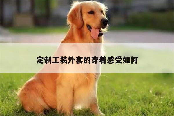定制工装外套的穿着感受如何_bsport官网入口