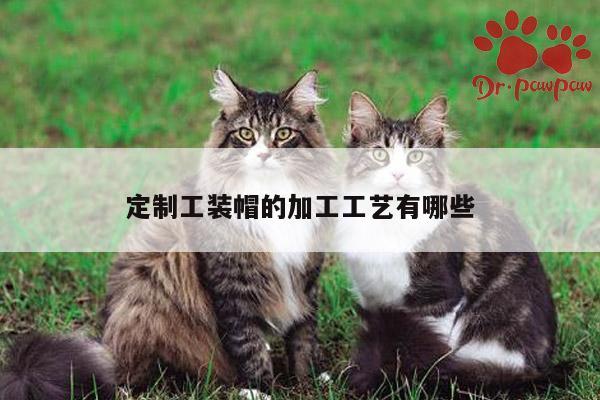 定制工装帽的加工工艺有哪些_b体育官网