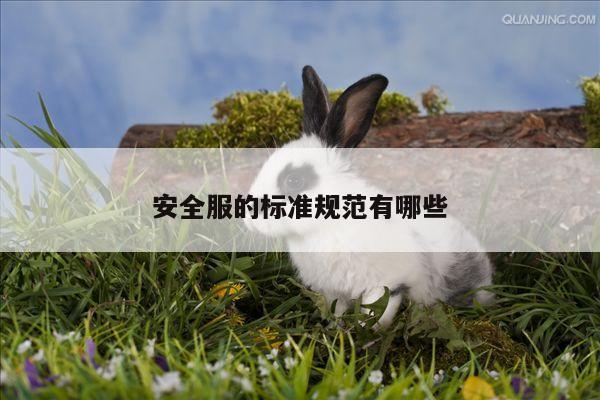 安全服的标准规范有哪些【Bsport体育在线官网】