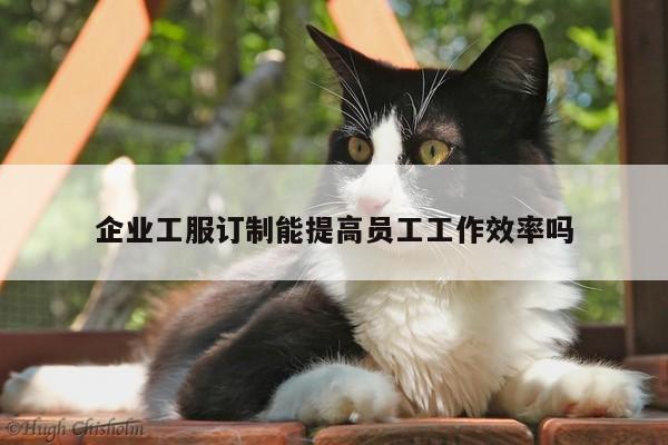 Bsports必一体育|企业工服订制能提高员工工作效率吗