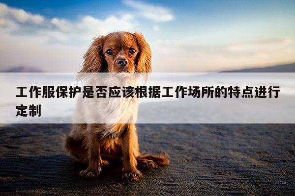 工作服保护是否应该根据工作场所的特点进行定制_b体育官网