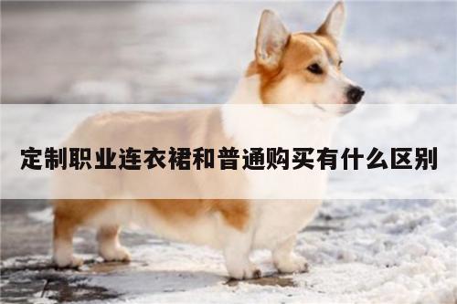 【b体育官网】定制职业连衣裙和普通购买有什么区别