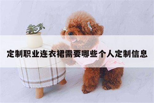 【bsport官网入口】定制职业连衣裙需要哪些个人定制信息