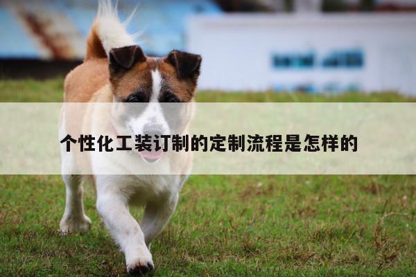 b体育官网-个性化工装订制的定制流程是怎样的